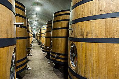 凛冬已至 《胶佬模拟器》联动冰汽时代DLC免费上线